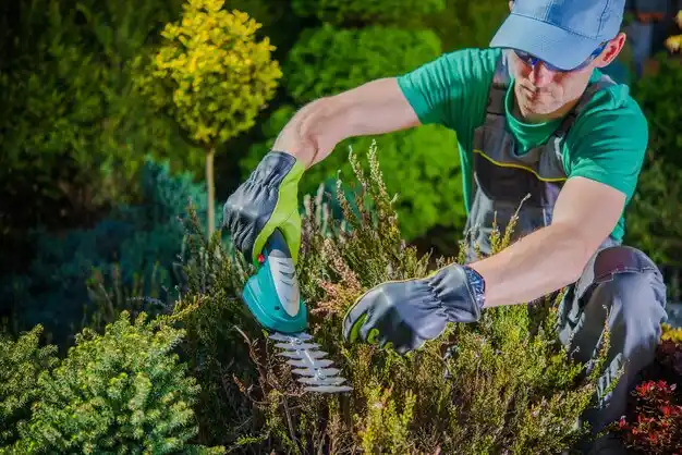 landscaping services Tallmadge